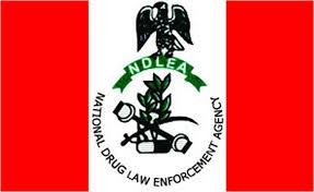 NDLEA Destroys N2.8 Billion Worth of Illicit Drugs in Edo, Intensifies War Against Trafficking